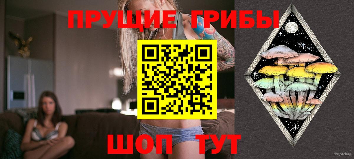 Псилоцибиновые грибы Psilocybine cubensis Октябрьский
